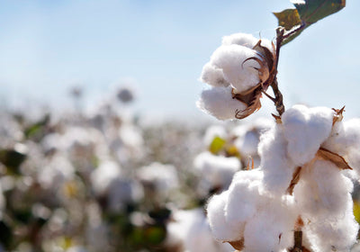 Organic Cotton — Kind to your skin, kind to the planet.